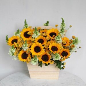 Hộp hoa hướng dương mau H01 Giỏ/Lẵng hoa tươi